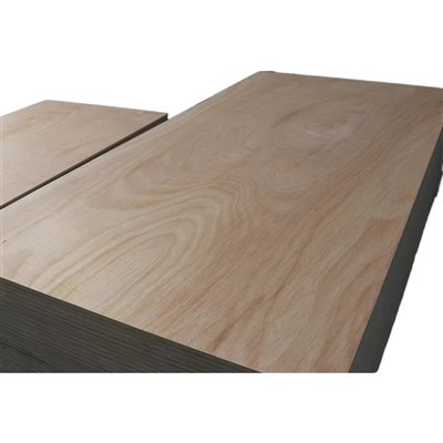 Premium Poplar Plywood – Wholesale Factory Direct For Furniture & Construction